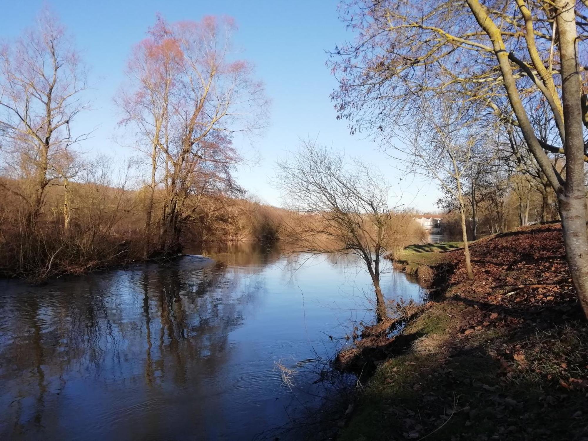 Chambres D'Hotes La Tuilerie Blainville-sur-l'Eau Exteriör bild